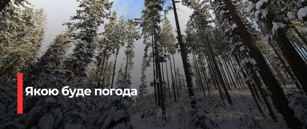 Погода на Рівненщині у перший день Нового року: прогноз синоптиків