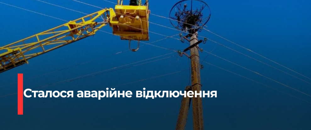Лелеча Любов: Як Гніздо Зробило Село Без Електроенергії на Рівненщині