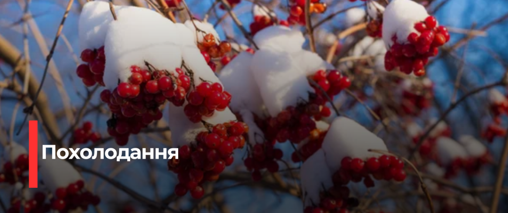 Рівненщина: Очікується Мороз і Невеличкий Сніг 24 Грудня