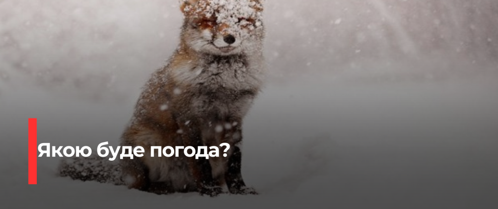 Рівненщина готується до негоди перед Новим роком: сильний вітер та сніг