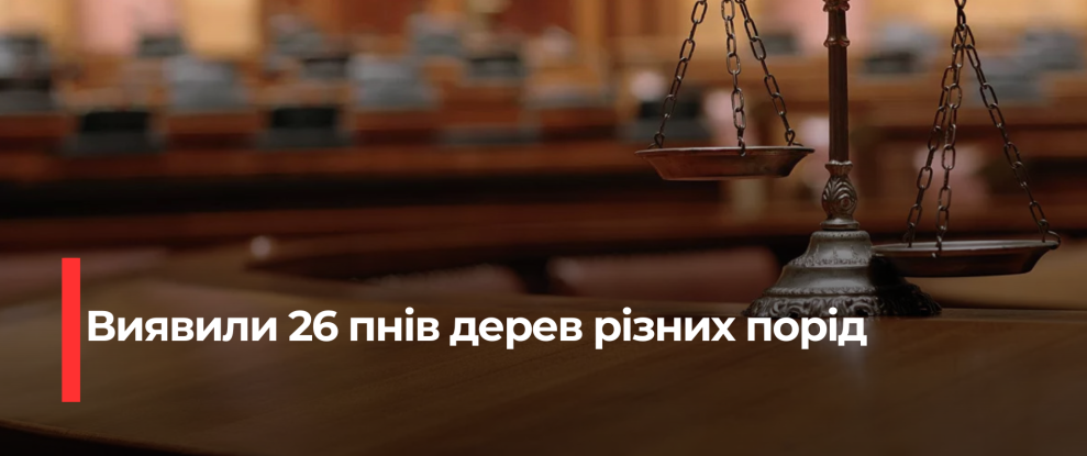 Лісовий офіс сплатив штраф за незаконні рубки на Рівненщині