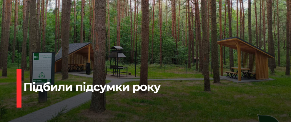 Рекордний дохід та соціальні ініціативи: успіх лісівників Рівненщини та Волині