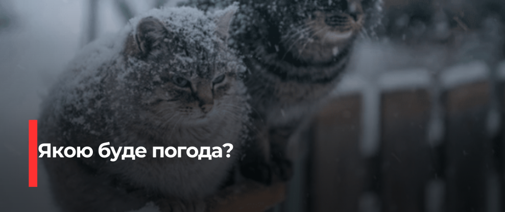 Рівненщина: Тепла та Хмарна Погода на Передовій 22 Грудня