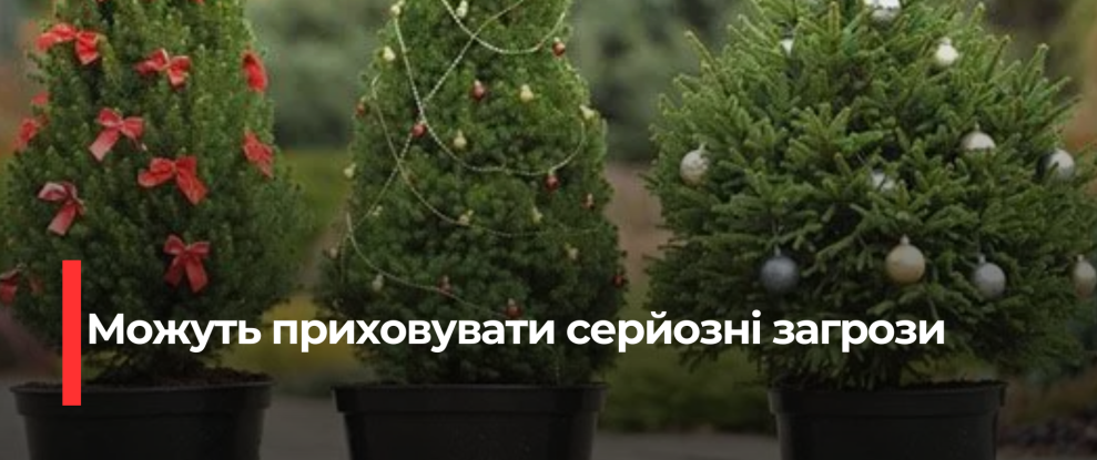 Ялинка: Небезпеки в Домі