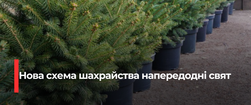 Шахрайство з продажем новогодних товаров в интернете: Рівненская область стала жертвой мошенничества