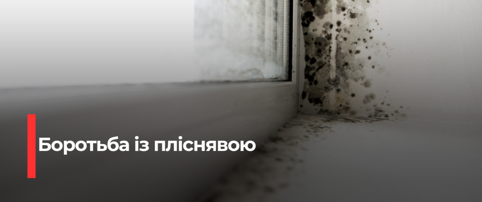 Як позбутися плісняви на стінах: ефективні методи та запобігання
