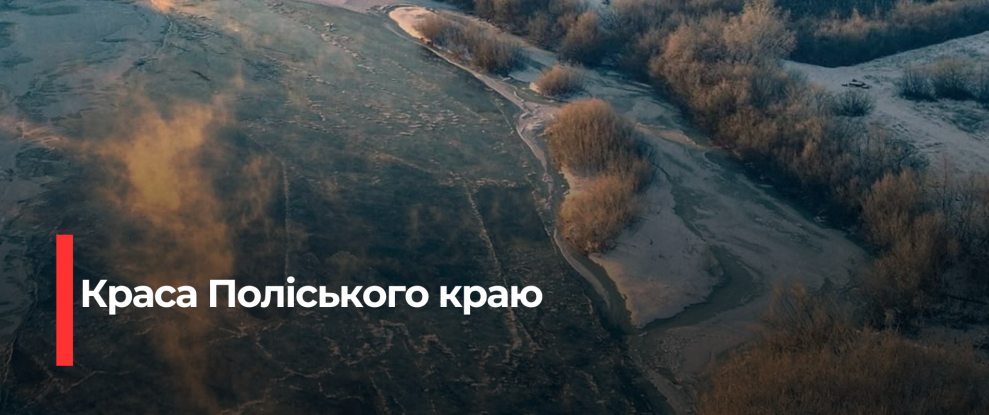 Унікальні Зимові Зображення Случ: Лебеді та Екологічна Криза