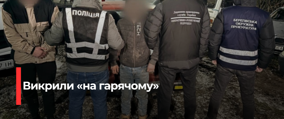 Затримано групу, яка планувала незаконний перетин кордону