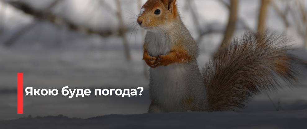 Рівненщина: Очікуємо Хмарність та Легкий Мороз