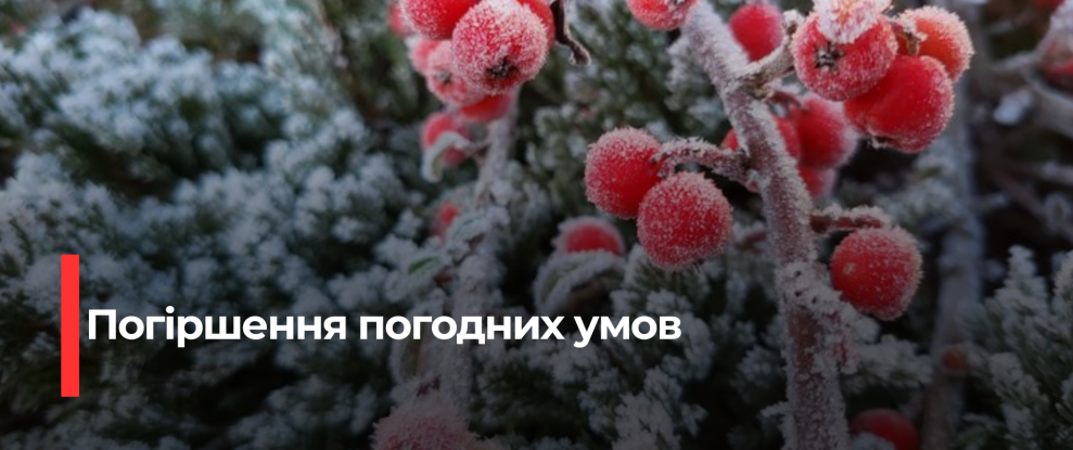 Рівненщина: Сильний мороз та ожеледиця на дорогах 20 січня