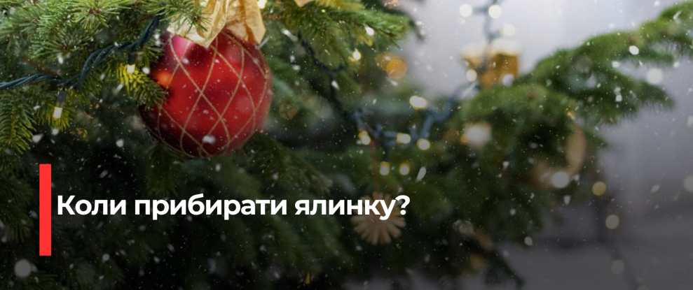 Коли викидати ялинку: традиції та поради експертів