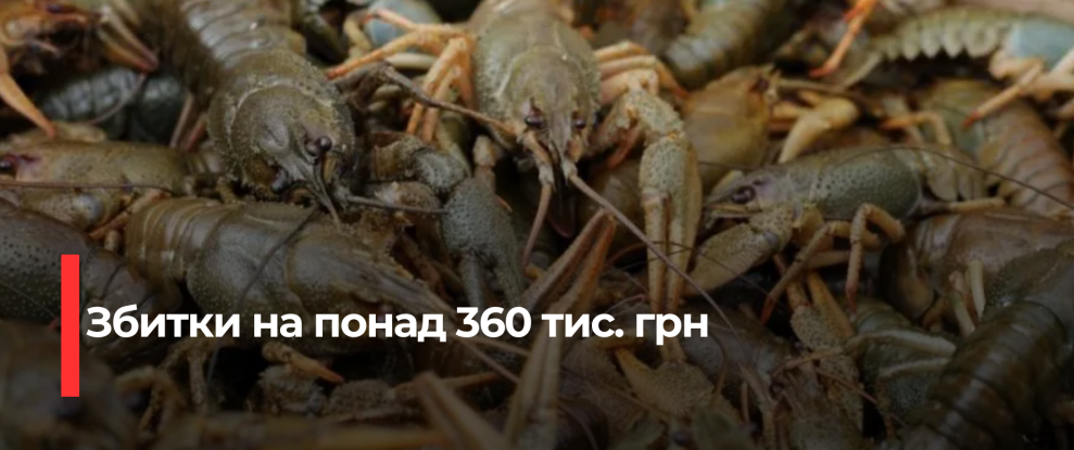 На Рівненщині екологічна інспекція вимагає відшкодувати збитки від незаконного вилову раків
