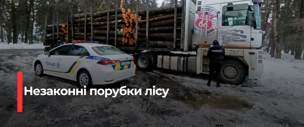 Поліція Рівненщини викрила незаконне вирублення лісу та нелегальне перевезення деревини