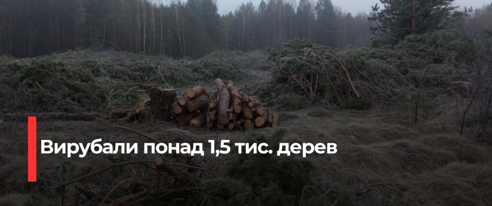 Костопільська міська рада зобов’язана відшкодувати майже 5 мільйонів гривень за незаконну порубку