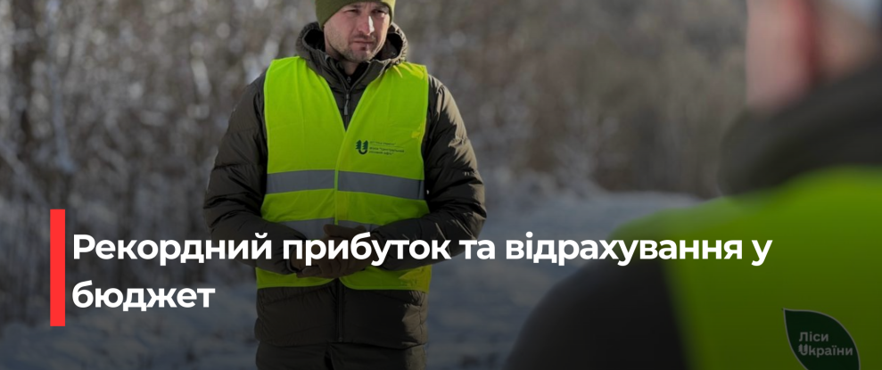ДП «Ліси України» докладає рекордний прибуток в бюджет
