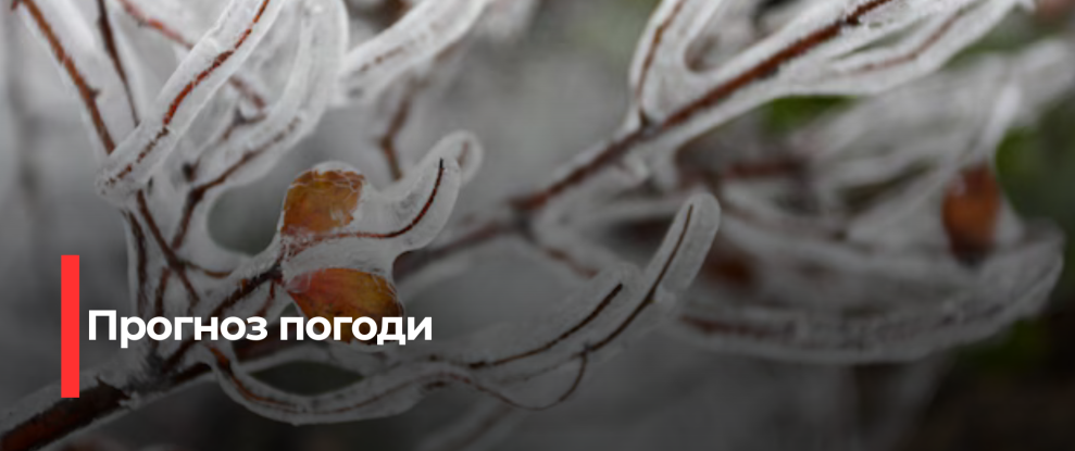Рівненщина: Охолодження та Ожеледиця на Заході України