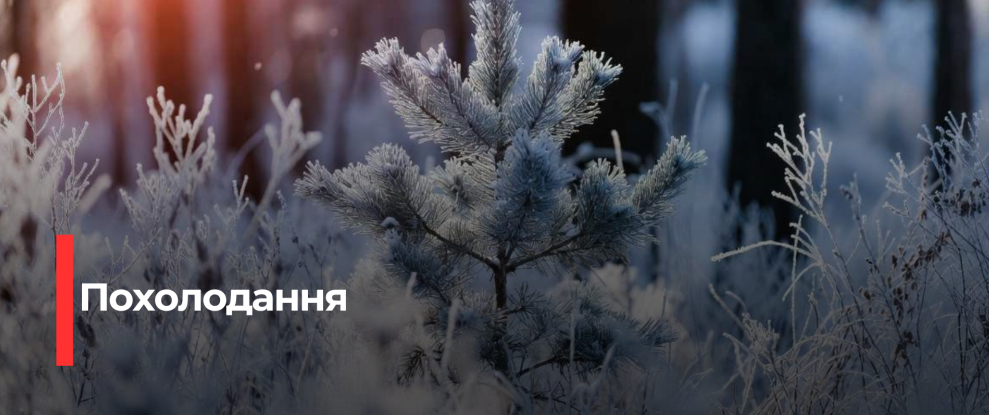 Рівненщина: Морозна Новаріка – Прогноз Погоди на 13 Січня