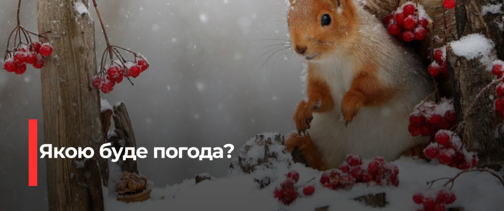 Рівненщина: Охолодження та Ожеледиця – Прогноз на 31 січня