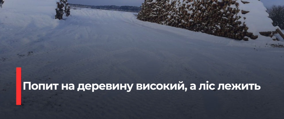 Дефіцит деревини на Рівненщині: Затримки з розчищенням бурелому обертаються фінансовими втратами