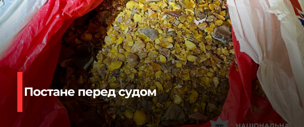 Рівненського Злодія Злочинності Заарештовано з Великою Кількістю Бурштину