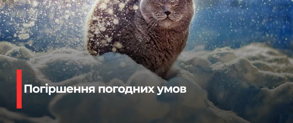 Рівненщина: Сильна снігова буря та опалі дороги 6 січня