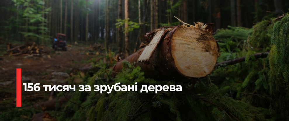 Укрзалізниця сплатить понад 150 тис. грн за незаконну рубку лісу на Рівненщині