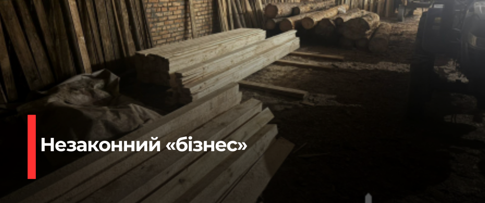Колишній лісник та його спільники з Рівненщини обвинувачені у незаконних порубках в заповіднику