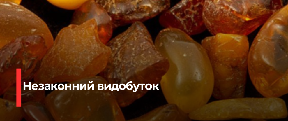 Нелегальний видобуток бурштину виявлено на Рокитнівщині