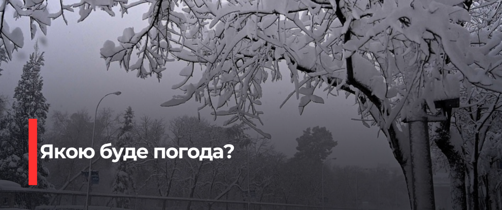 Рівненщина: Ожеледиця та Туман Завтра