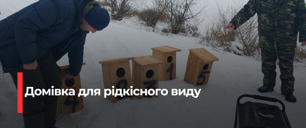 Економічний бум у сфері відновлюваної енергетики: Нові можливості та виклики для України