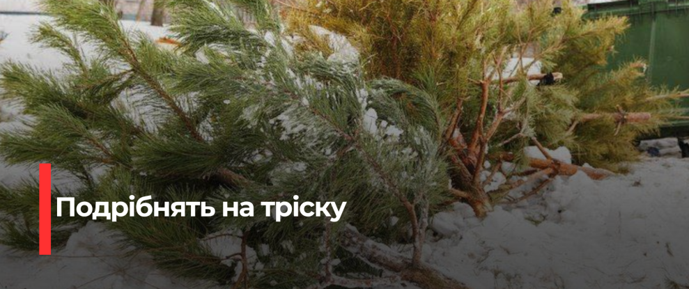 Рівне перетворює новорічні ялинки на паливо