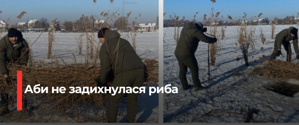 Зимова Задуха Риби: Рівняни Готують Водойми до Зими