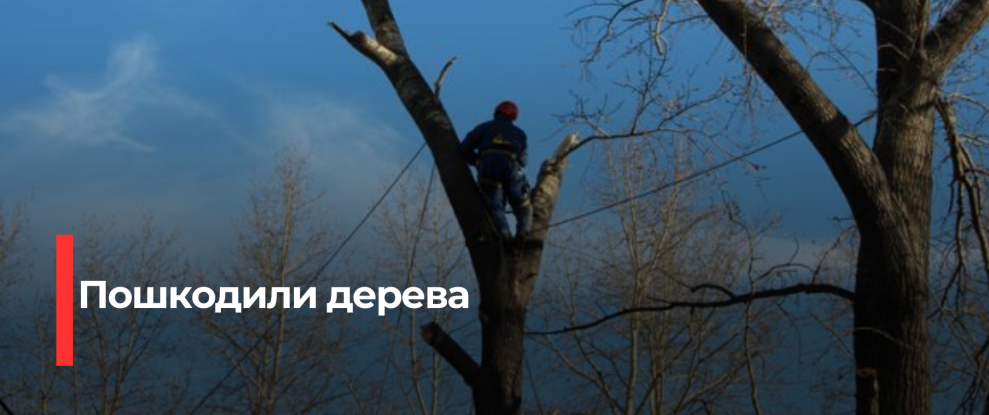 Недотримання вимог природоохорони: Управляюча компанія у Рівному зіштормилася з екологічною інспекцією
