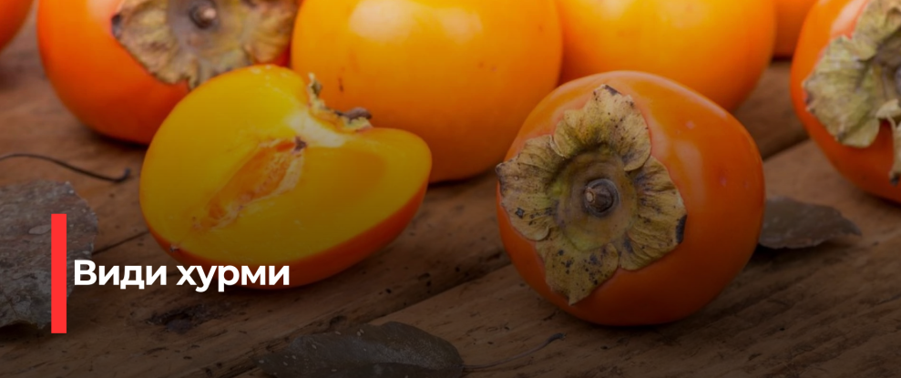Різновиди хурми: що варто знати при виборі