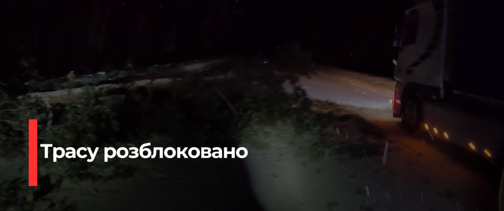 У Сарненській Районі Дерево Впало на Дорогу через Сильну Недощу