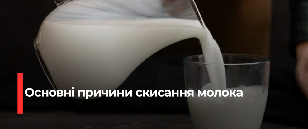 Як зберегти свіжість молока: поради та секрети