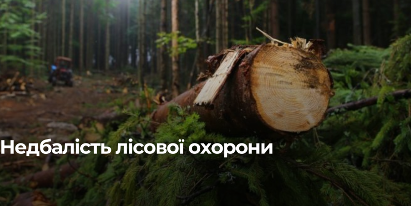 На Рівненщині прокурорські позови щодо завданої шкоди лісу сягають 7,9 млн грн