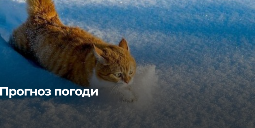 Рівненщина: Очікується Снігове Покриття та Низькі Температури