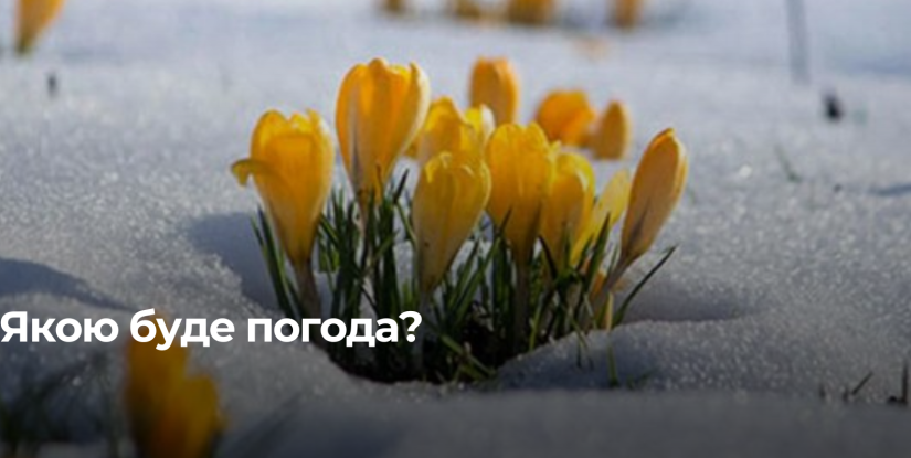 Рівненщина: Очікується Хмарно з Проясненнями та Ожеледиця