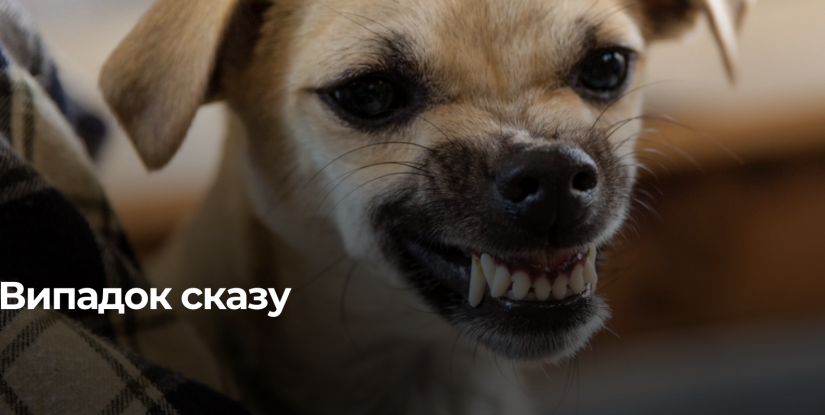 У Рівненській області зафіксовано випадок сказу у бездомного пса