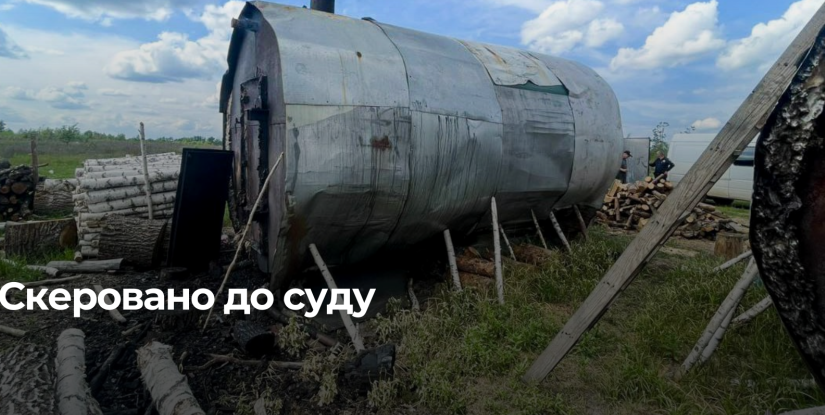 Екологічні порушення на Березнівщині: Двоє місцевих мешканців притягнуто до відповідальності