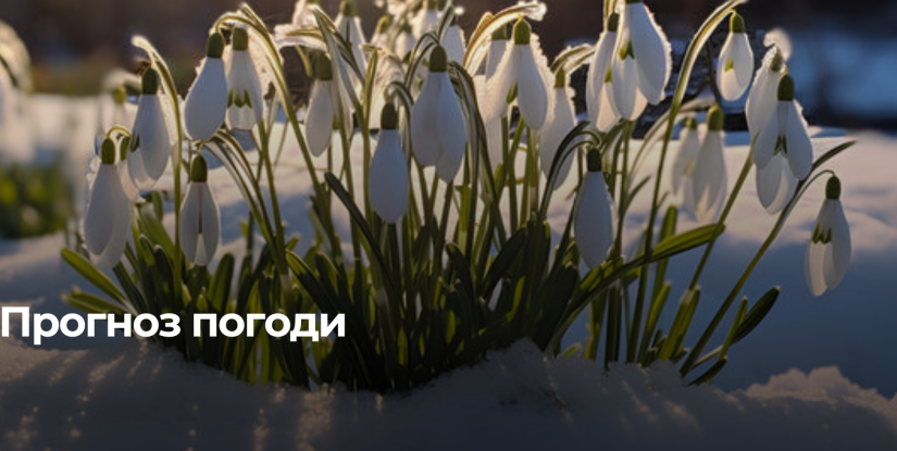 На Рівненщині очікується м’яка зимова погода