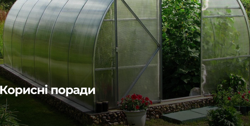 Підготовка Теплиці до Весняного Росту: Поради та Рекомендації