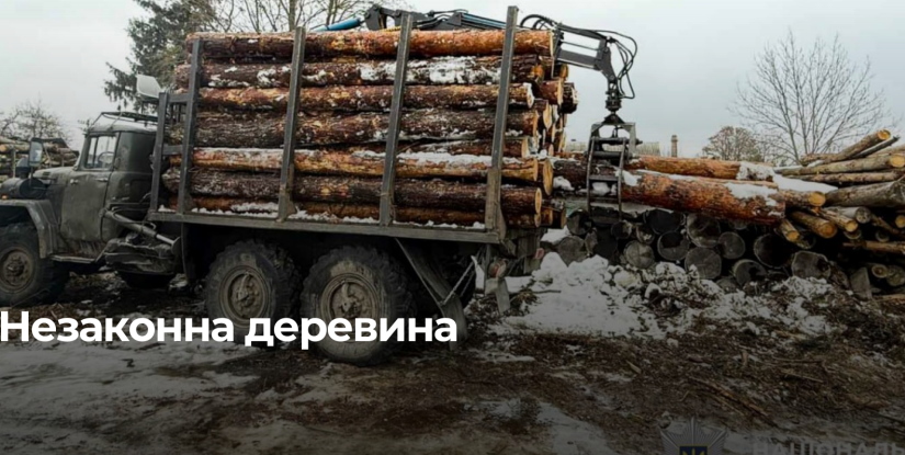 Нелегальна деревина виявлена в Рівненській області