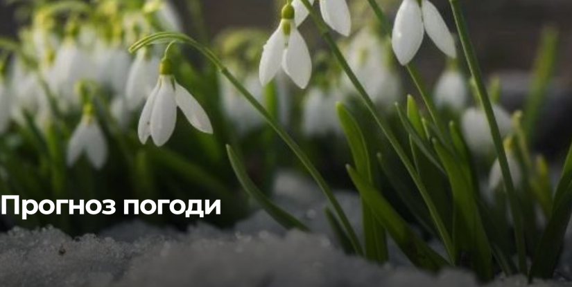 Прогноз погоди на Рівненщині на 1 березня: Хмарно з проясненнями