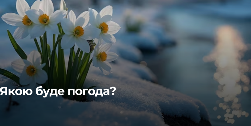 Тепла Весна на Рівненщині: Прогноз Синоптиків