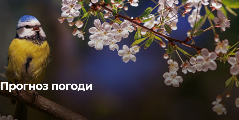 Рівненщина: Завтра очікується мінливе хмарне небо та можливі ожеледиці