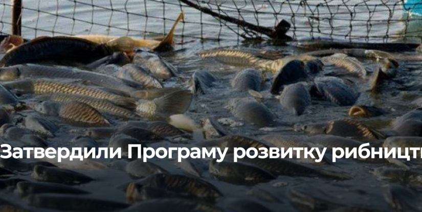 Рівненщина планує значно збільшити улов риби у місцевих водоймах