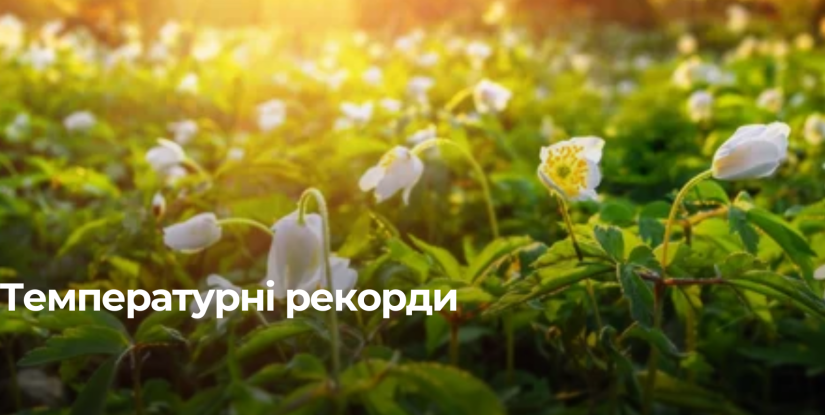 Рівненщина: Зафіксовані Унікальні Температурні Рекорди