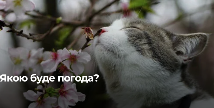 Рівненщина: Тепле Повітря та Ожеледиця